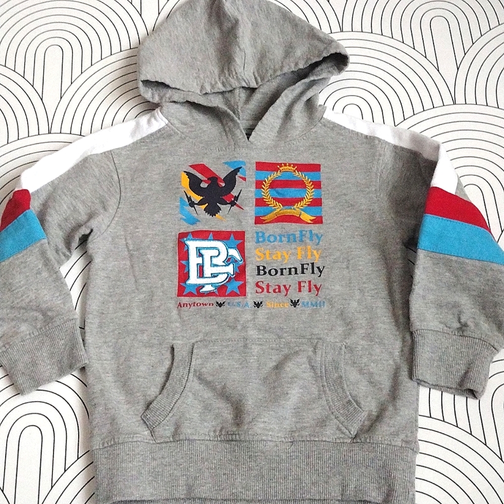 Born fly hooded sweatshirt